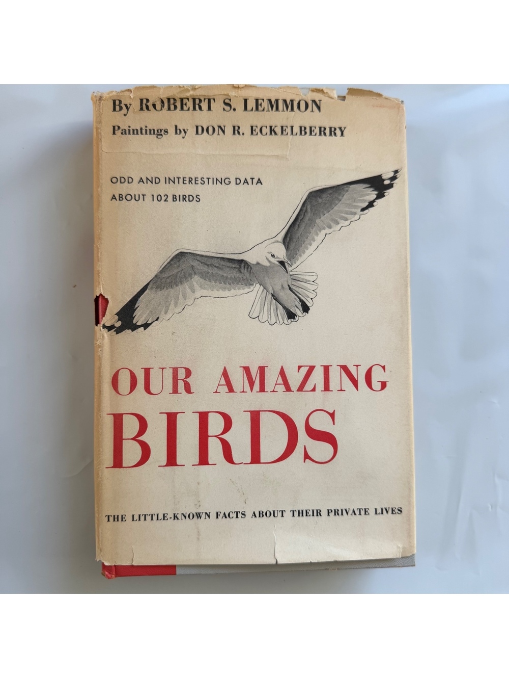 Our Amazing Birds by Robert S. Lemmon - Hardcover Nature Book with Paintings by